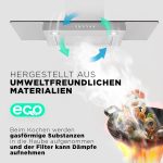 Kohlefilter kompatibel mit Miele 6228731 DKF12 288x242mm für Dunstabzugshaube