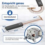 Kohlebürsten Motorkohlen wie Bosch 00605694 4,8mmAMP für Motor Waschmaschine – Bild 3