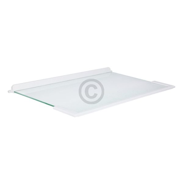 Glasplatte Liebherr 9293003 oben 495x300mm mit Leisten für Kühlschrank