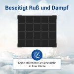 Aktivkohlefilter 2Stk wie Airforce AFFCAF16 235x192mm für Dunstabzugshaube – Bild 4