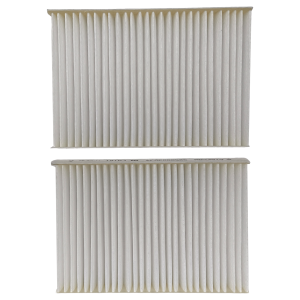 Luftfilter Set 2 Stück Bosch 00481723 140x95mm für Trockner