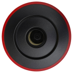 Filter Bosch 12033215 für Staubbehälter in Staubsauger – Bild 2