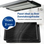 Kohlefilter Set 2x wie Siemens 11025805 300x198mm für Dunstabzugshaube