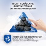 Kohlefilter Set 2x wie Siemens 11025805 300x198mm für Dunstabzugshaube