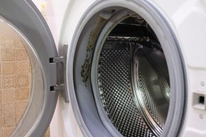 Bild zeigt die Reinigung der Gummidichtung einer Waschmaschine zur Entfernung von Schimmel