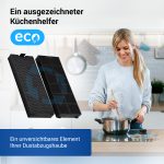 Kohlefilter 2Stk Set wie gorenje 182192 TypK 250x95mm für Dunstabzugshaube