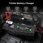 RoyPow LiFePO4 Ladegerät 12V 10A Lithium Batterieladegerät Erhaltung – Bild 2