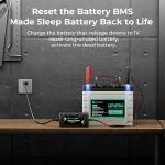 RoyPow LiFePO4 Ladegerät 12V 10A Lithium Batterieladegerät Erhaltung – Bild 4