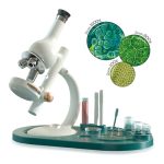 Canal Toys So Science Labormikroskop COS004 1600-fach mit Zubehör – Bild 7