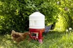 Kerbl Geflügeltränke 30 Liter Höhe 70 cm Kunststoff rot weiß 70233 – Bild 3